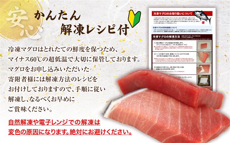 【単品】本マグロ中トロ300g　解凍レシピ付　1サクずつ真空包装  脂の甘みと濃厚赤身が絶妙なバランス 【単品】
