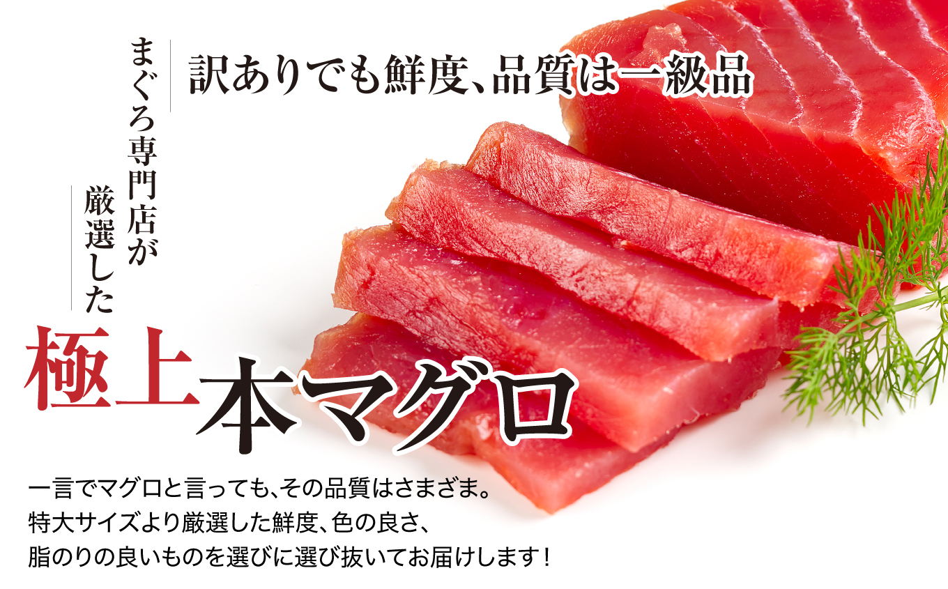 【単品】本マグロ訳あり中トロ700g！解凍レシピ付 【単品】