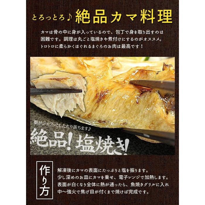 【単品】南マグロ大トロカマ2kg　加熱用　塩焼きや煮付けに 【単品】