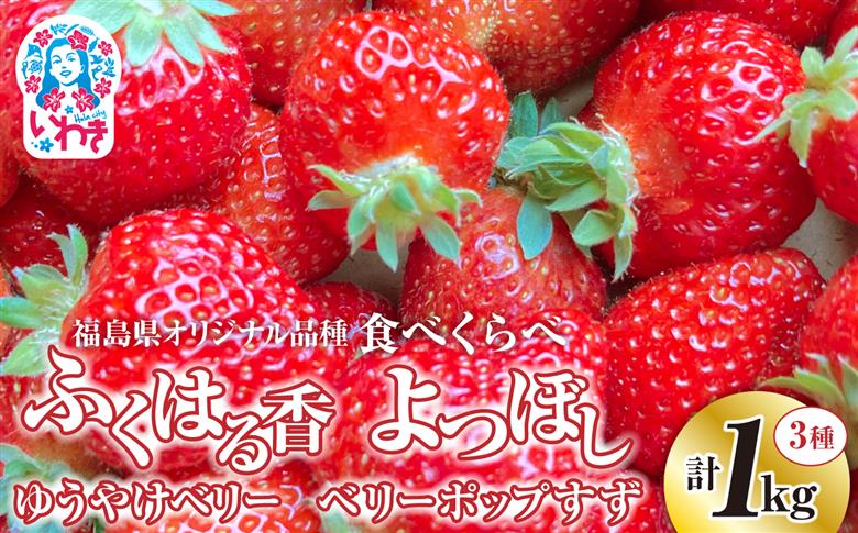 〈先行予約〉【産地直送】いわき市産いちご「ふくはる香」「よつぼし」「ゆうやけベリー」「ベリーホップすず」の食べ比べセット1kg（250g×4パック）