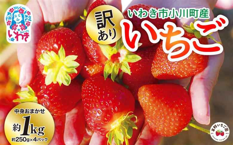 訳あり　いわき市産いちご　草野いちご園のいちごの詰め合わせ1kg（250g×4P）（中身はお任せ）