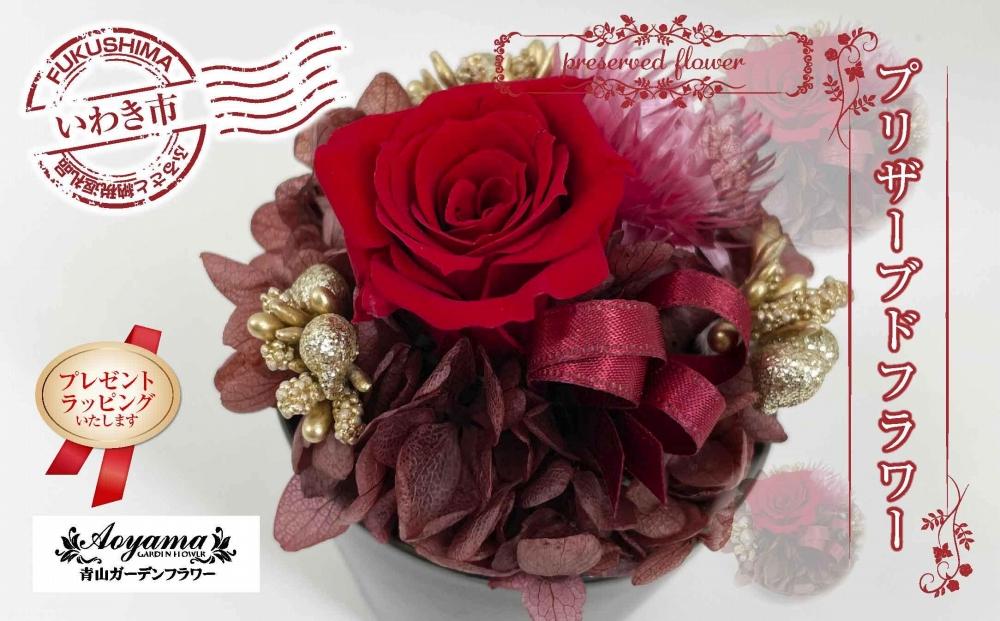 【ギフト用プレゼントラッピング】青山ガーデンフラワー　プリザーブドフラワー　ポットアレンジレッド