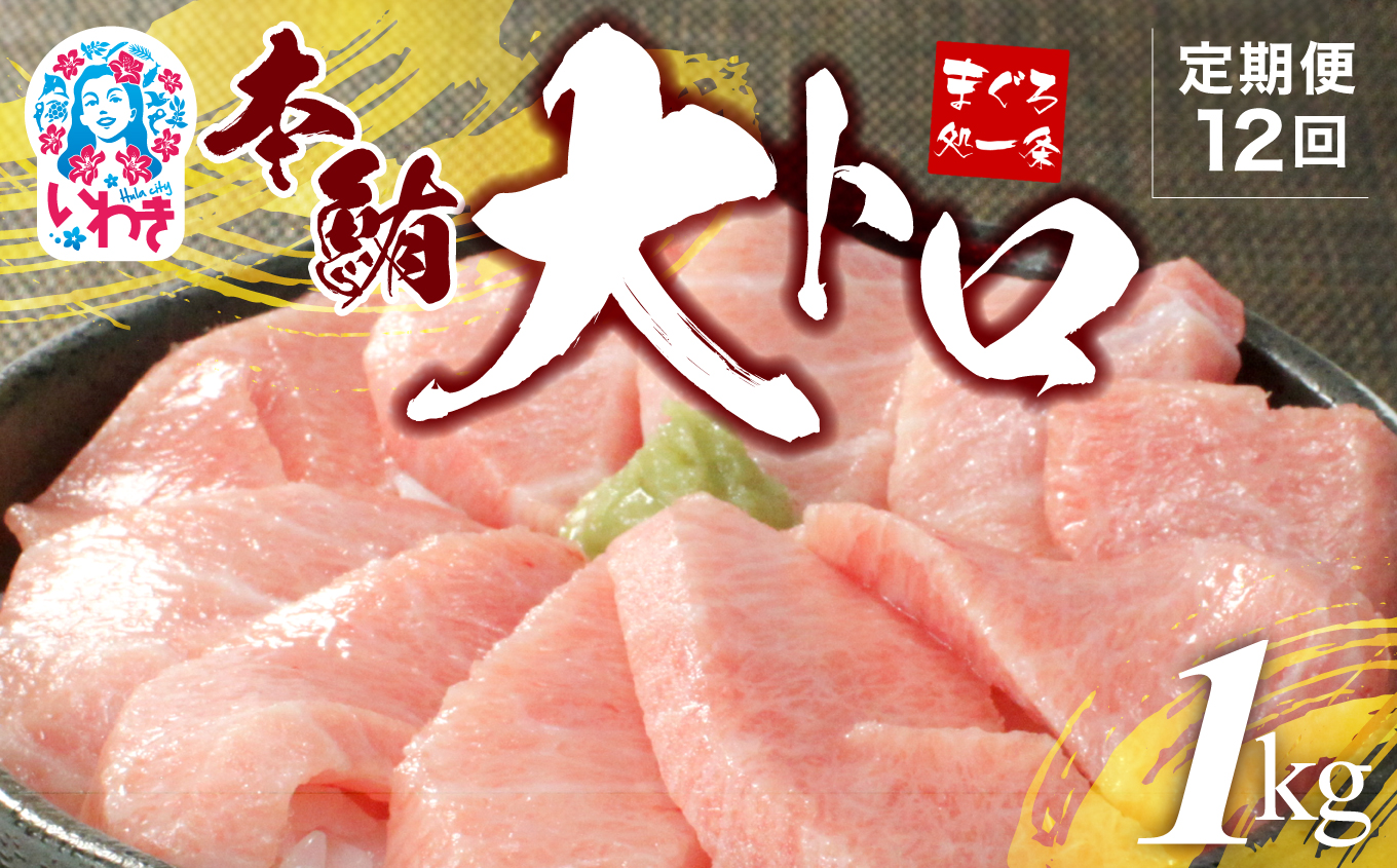 【定期便/計12回】本マグロ大トロずっしり1kg（計12kg）【DG004-t12】|いわき市 ふるさと納税 株式会社東日本貿易 鮪 本鮪 本まぐろ マグロ 大トロ 大とろ トロ とろ 刺し身 さしみ さかな 海鮮 寿司 解凍レシピ付 【定期便/計12回】