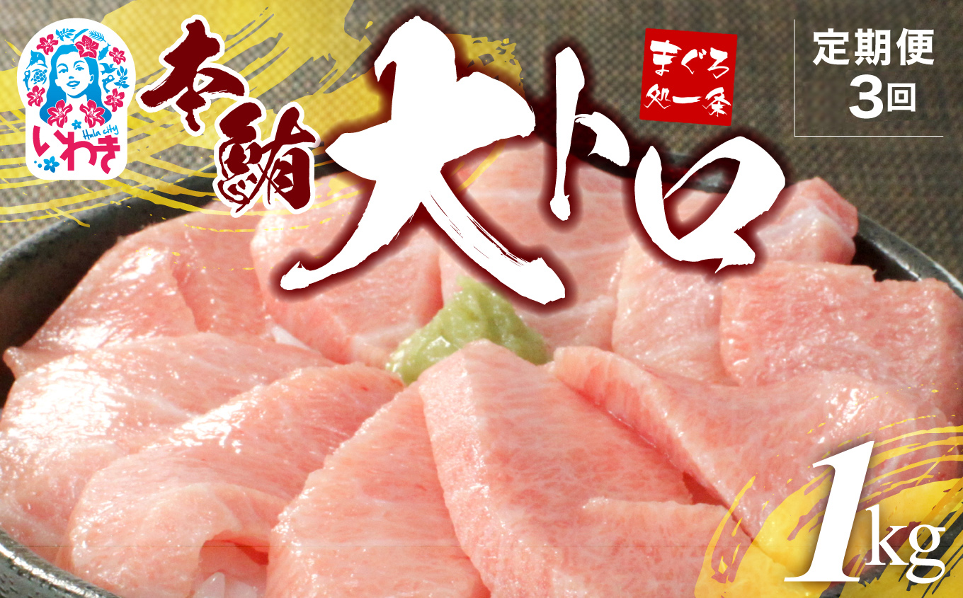 【定期便/計3回】本マグロ大トロずっしり1kg（計3kg）【DG004-t3】|いわき市 ふるさと納税 株式会社東日本貿易 鮪 本鮪 本まぐろ マグロ 大トロ 大とろ トロ とろ 刺し身 さしみ さかな 海鮮 寿司 解凍レシピ付 【定期便/計3回】