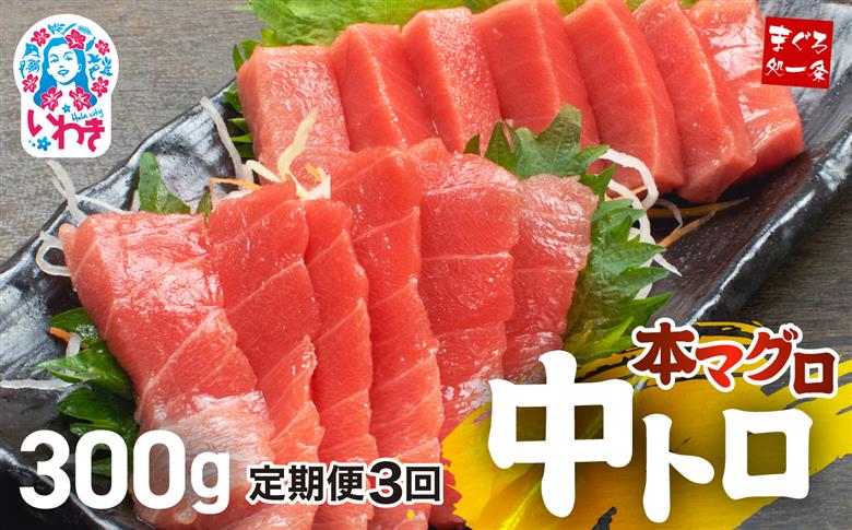 【定期便/計3回】本マグロ中トロ300g（計900g）【DG005-t3】|いわき市 ふるさと納税 株式会社東日本貿易 鮪 本鮪 本まぐろ マグロ トロ とろ 刺し身 さしみ さかな 海鮮 寿司 解凍レシピ付 【定期便/計3回】