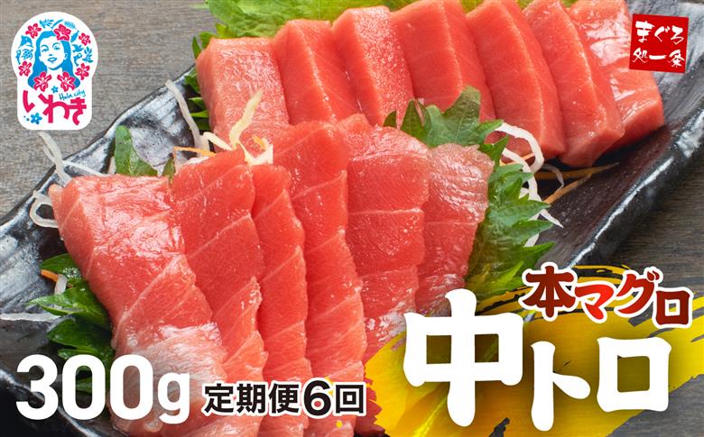 【定期便/計6回】本マグロ中トロ300g（計1.8kg）【DG005-t6】|いわき市 ふるさと納税 株式会社東日本貿易 鮪 本鮪 本まぐろ マグロ トロ とろ 刺し身 さしみ さかな 海鮮 寿司 解凍レシピ付 【定期便/計6回】