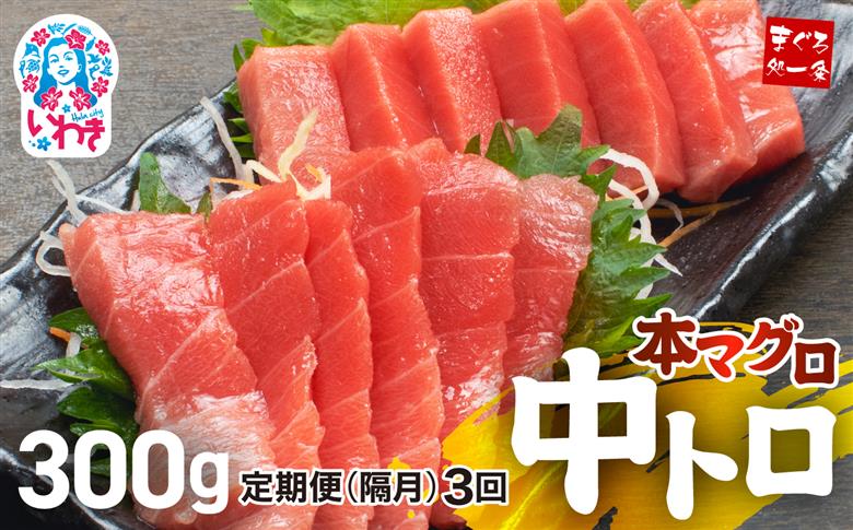 【定期便/隔月/計3回】本マグロ中トロ300g（計900g）【DG005-tk3】|いわき市 ふるさと納税 株式会社東日本貿易 鮪 本鮪 本まぐろ マグロ トロ とろ 刺し身 さしみ さかな 海鮮 寿司 解凍レシピ付 【定期便/隔月/計3回】