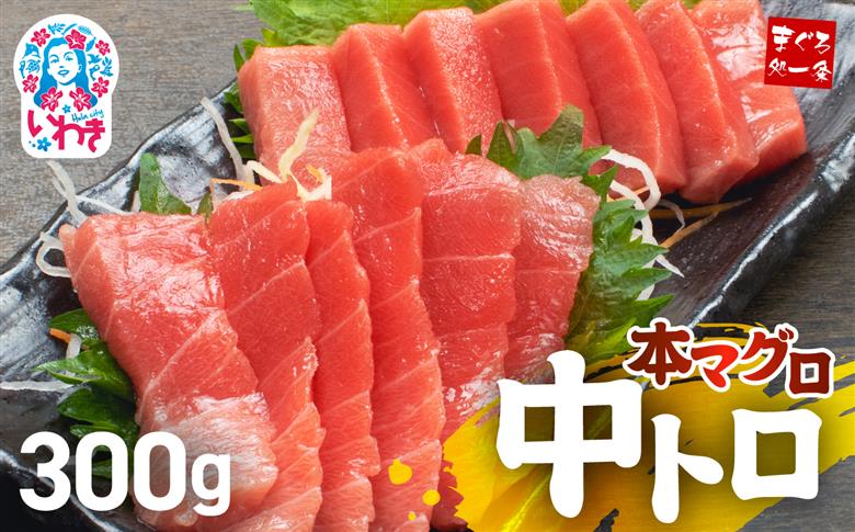 【単品】本マグロ中トロ300g　解凍レシピ付　1サクずつ真空包装  脂の甘みと濃厚赤身が絶妙なバランス 【単品】
