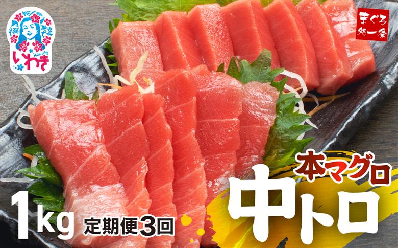 【定期便/計3回】本マグロ中トロ1kg（計3kg）【DG006-t3】|いわき市 ふるさと納税 株式会社東日本貿易 鮪 本鮪 本まぐろ マグロ トロ とろ 刺し身 さしみ さかな 海鮮 寿司 解凍レシピ付 【定期便/計3回】