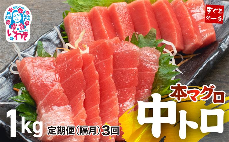 【定期便/隔月/計3回】本マグロ中トロ1kg（計3kg）【DG006-tk3】|いわき市 ふるさと納税 株式会社東日本貿易 鮪 本鮪 本まぐろ マグロ トロ とろ 刺し身 さしみ さかな 海鮮 寿司 解凍レシピ付 【定期便/隔月/計3回】
