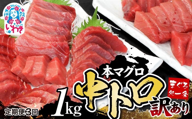 【定期便/計3回】訳あり 本マグロ 中トロ 1kg | まぐろ マグロ 中トロ 約6～8人前 本まぐろ 解凍レシピ付 鮪 海鮮丼 刺身 寿司 鉄火丼 （計3kg）【DG007-t3】 【定期便/計3回】