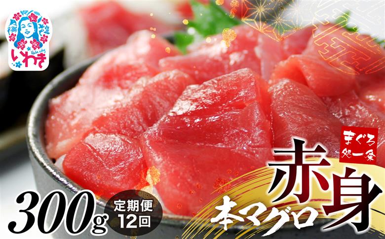 【定期便/計12回】本マグロ赤身300g（計3.6kg）【DG009-t12】|いわき市 ふるさと納税 株式会社東日本貿易 鮪 本鮪 本まぐろ マグロ 刺し身 さしみ さかな 海鮮 寿司 解凍レシピ付 【定期便/計12回】