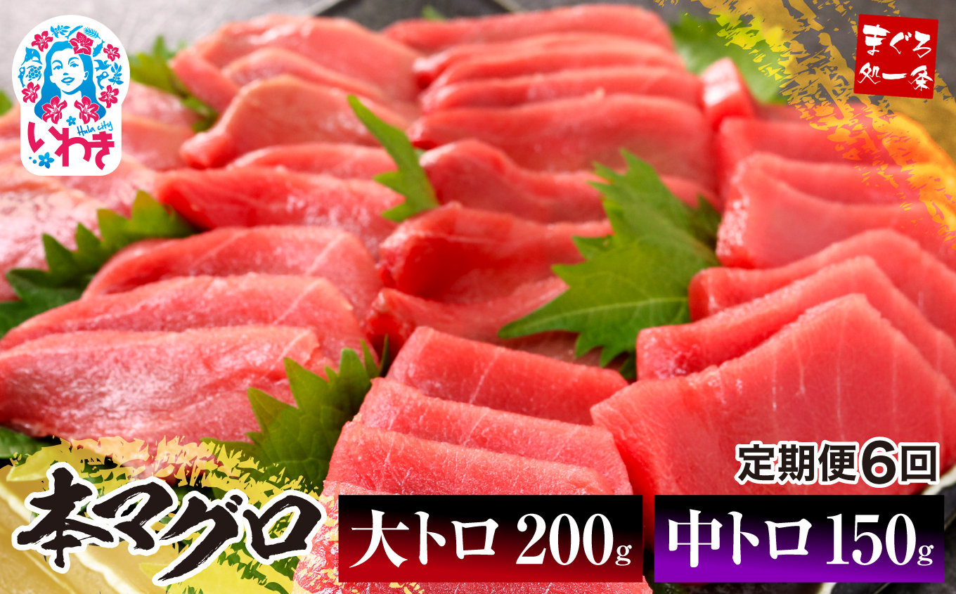 【定期便/計6回】本マグロ大トロ中トロセット350g（計2.1kg）【DG012-t6】|いわき市 ふるさと納税 株式会社東日本貿易 鮪 本鮪 本まぐろ マグロ 大トロ 大とろ トロ とろ 刺し身 さしみ さかな 海鮮 寿司 解凍レシピ付 【定期便/計6回】