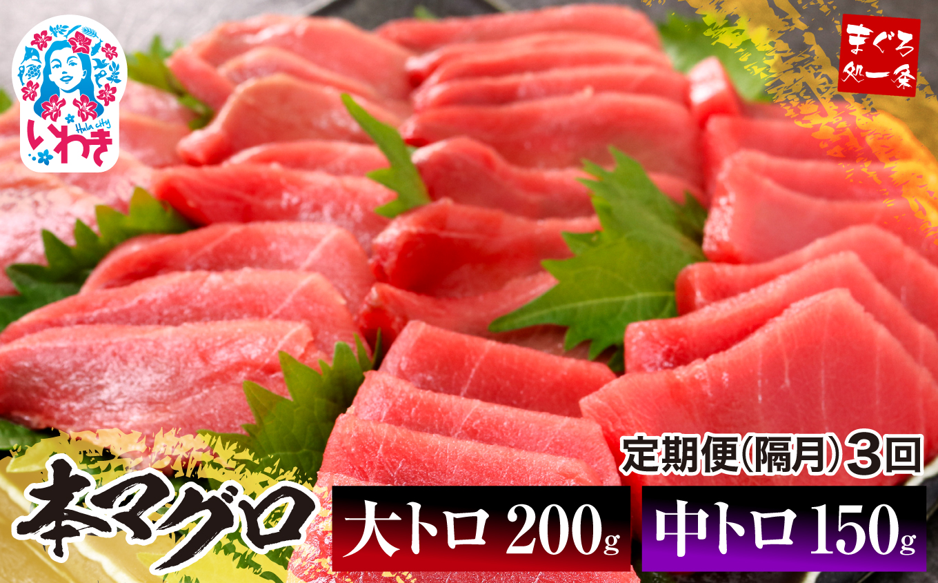 【定期便/隔月/計3回】本マグロ大トロ中トロセット350g（計1050g）【DG012-tk3】|いわき市 ふるさと納税 株式会社東日本貿易 鮪 本鮪 本まぐろ マグロ 大トロ 大とろ トロ とろ 刺し身 さしみ さかな 海鮮 寿司 解凍レシピ付 【定期便/隔月/計3回】