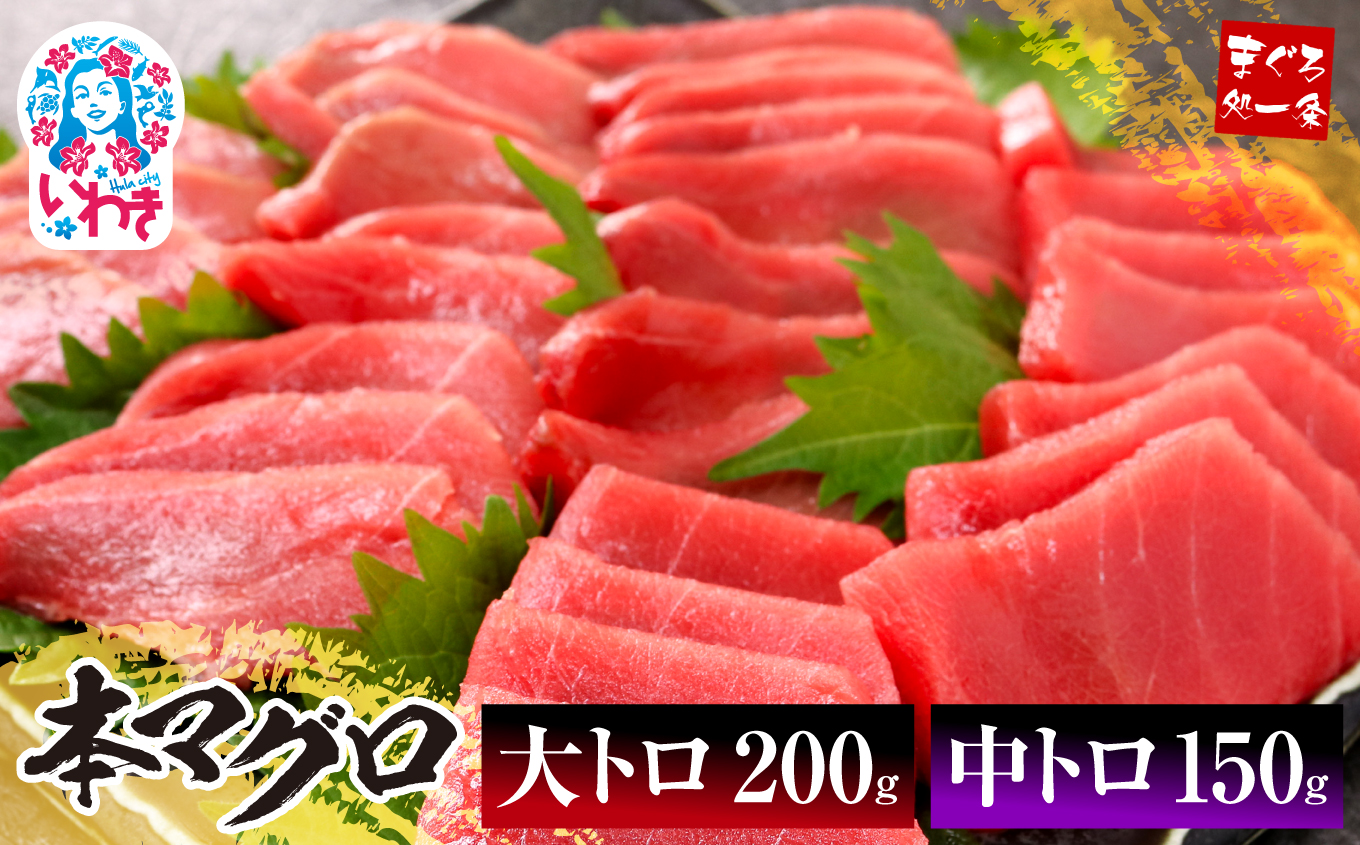【単品】本マグロ大トロ中トロセット350g　解凍レシピ付　1サクずつ真空包装 【単品】