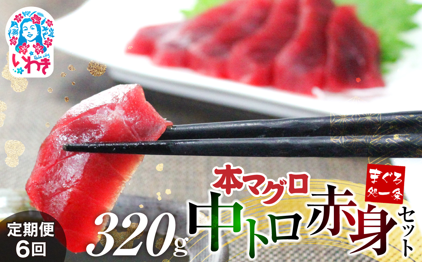 【定期便/計6回】本マグロ中トロ赤身セット320g（計1920g）【DG013-t6】|いわき市 ふるさと納税 株式会社東日本貿易 鮪 本鮪 本まぐろ マグロ 大トロ 大とろ トロ とろ 刺し身 さしみ さかな 海鮮 寿司 解凍レシピ付 【定期便/計6回】