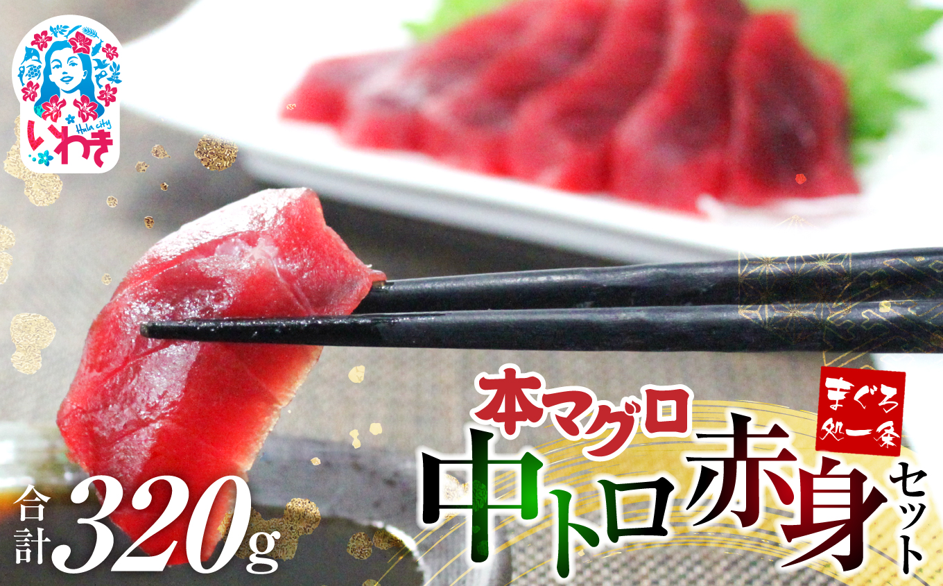 【単品】本マグロ中トロ赤身セット320g　解凍レシピ付　1サクずつ真空包装 【単品】