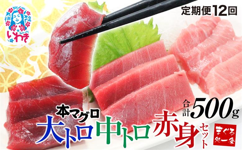 【定期便/計12回】本マグロ大トロ中トロ赤身セット500g（計6kg）【DG014-t12】|選べる 回数 定期便 解凍レシピ付 1サクずつ 真空包装 ｜ マグロ 鮪 まぐろ トロ 刺身 寿司 【定期便/計12回】