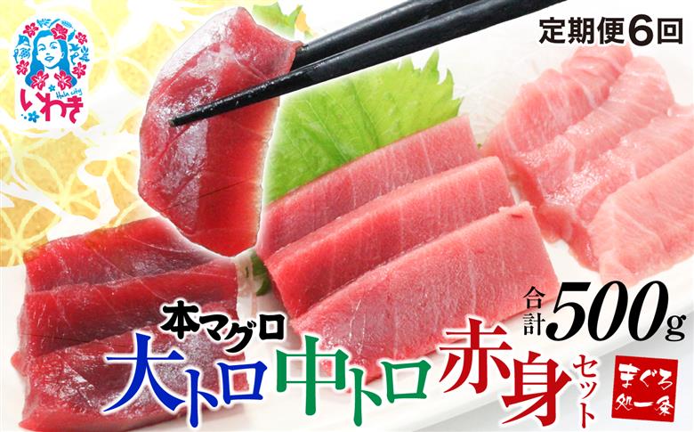 【定期便/計6回】本マグロ大トロ中トロ赤身セット500g（計3kg）【DG014-t6】|選べる 回数 定期便 解凍レシピ付 1サクずつ 真空包装 ｜ マグロ 鮪 まぐろ トロ 刺身 寿司 【定期便/計6回】
