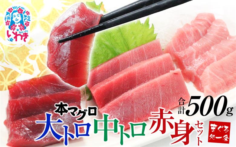 【単品】本マグロ大トロ中トロ赤身セット500g　解凍レシピ付　1サクずつ真空包装 【単品】