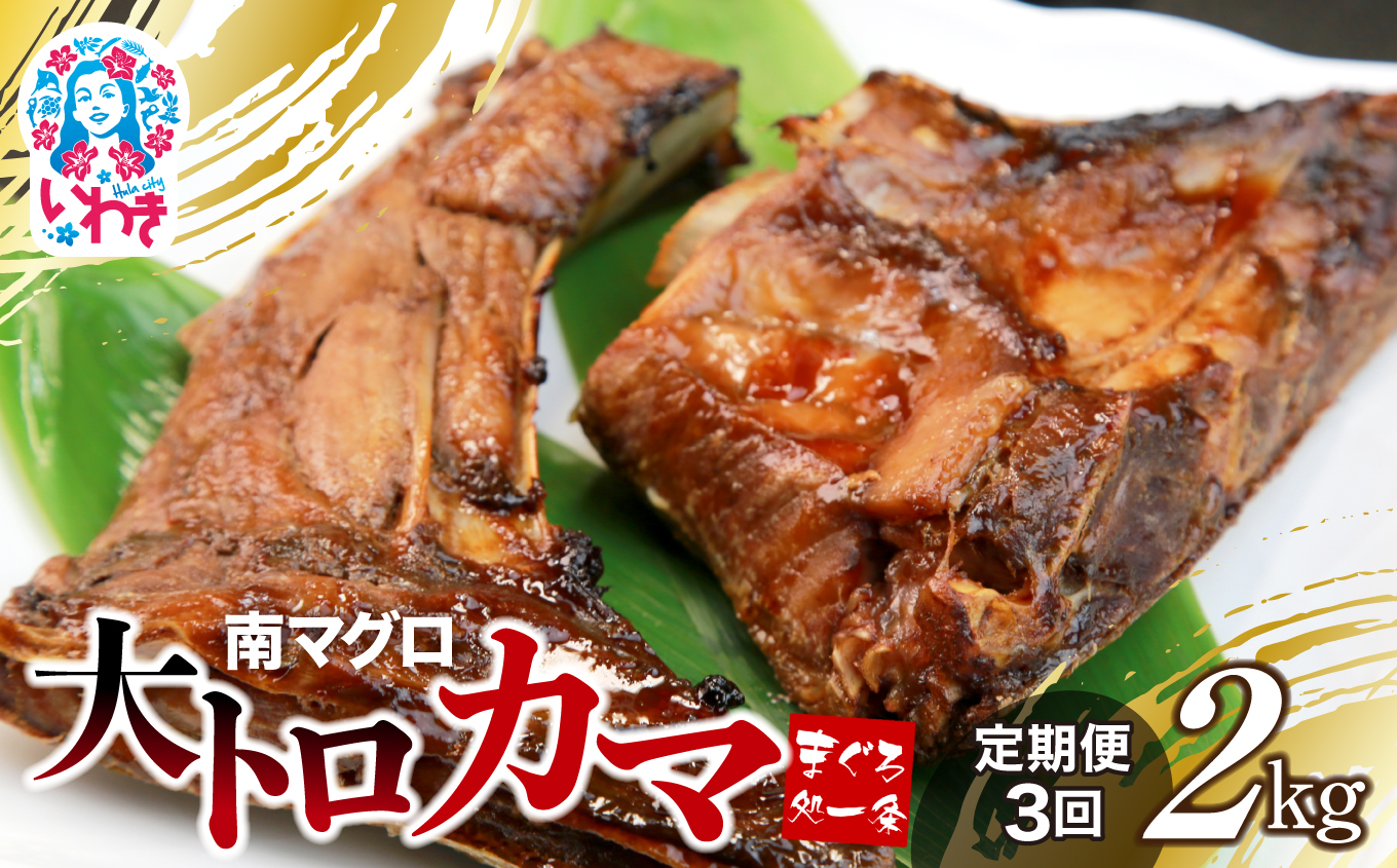 【定期便/計3回】南マグロ大トロカマ2kg（計6kg）【DG016-t3】|加熱用 選べる 回数 定期便 ｜ 冷凍 塩焼き 煮付け まぐろ 鮪 マグロ 焼き魚 高級種 希少部位 【定期便/計3回】