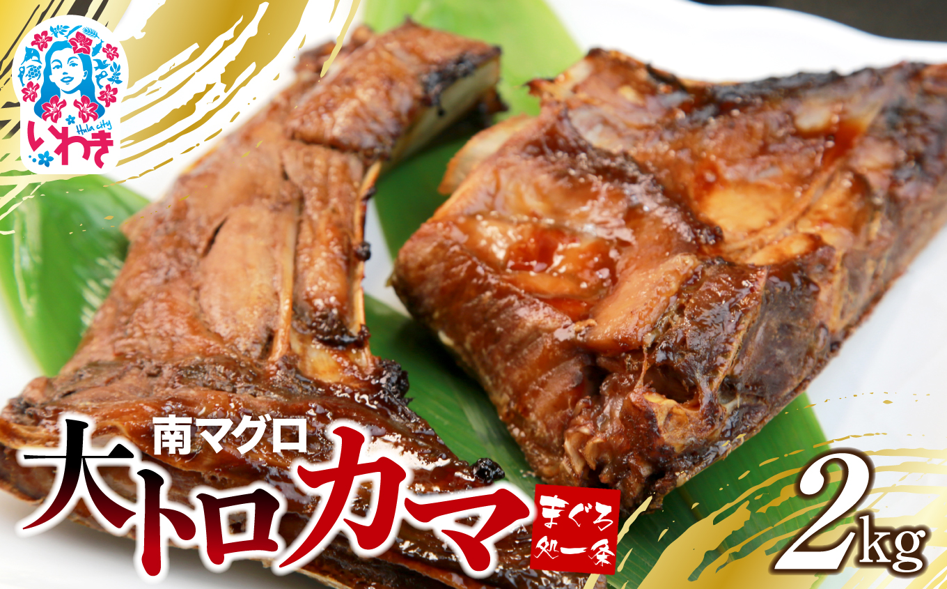 【単品】南マグロ大トロカマ2kg　加熱用　塩焼きや煮付けに 【単品】