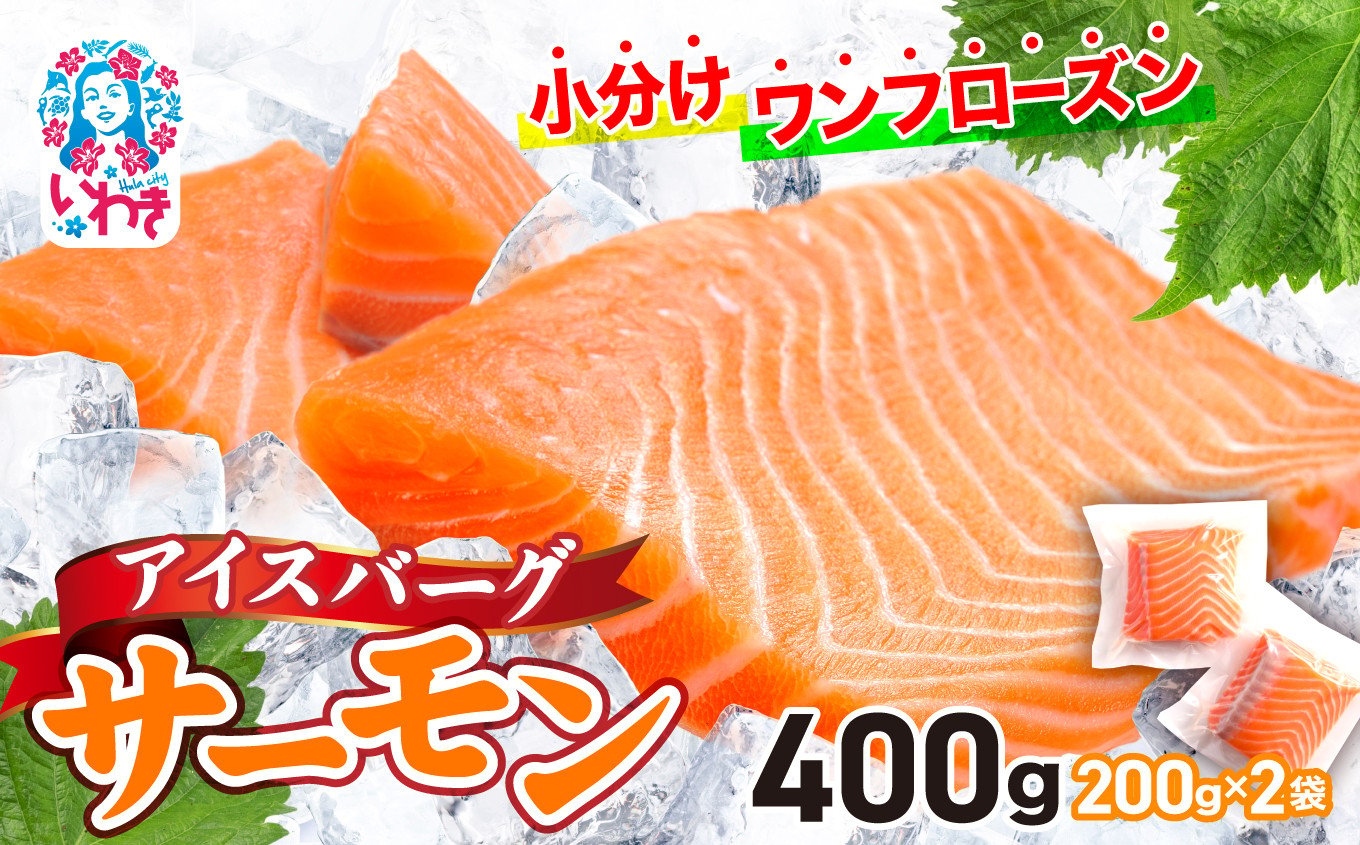 アイスバーグサーモン（アトランティックサーモン）400g | サーモン ふるさと納税 サケ さけ しゃけ 刺し身 お刺身 個包装 さかな 魚介類 寿司【DK006-400g】