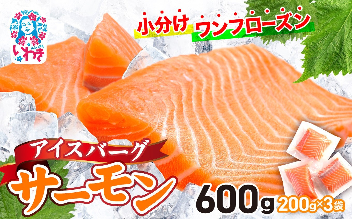 アイスバーグサーモン（アトランティックサーモン）600g | サーモン ふるさと納税 サケ さけ しゃけ 刺し身 お刺身 個包装 さかな 魚介類 寿司【DK006-600g】