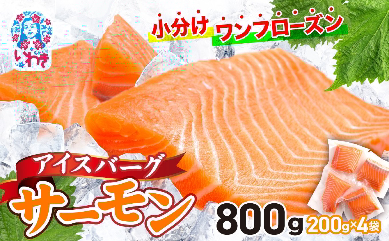 アイスバーグサーモン（アトランティックサーモン）800g | サーモン ふるさと納税 サケ さけ しゃけ 刺し身 お刺身 個包装 さかな 魚介類 寿司【DK006-800g】