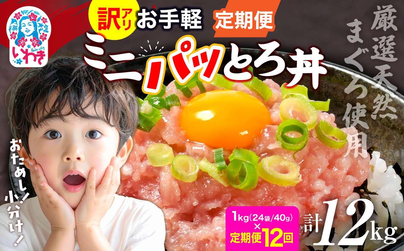 〈定期便12回〉ねぎとろ使い切りパック　約1kg（約40g×24パック） | まぐろ まぐろたたき ねぎとろ マグロ パーティー 使い切りパック 海鮮丼 お寿司 軍艦巻き 福島県 いわき市 父の日 | DK011-1kg-t12 【定期便12回】