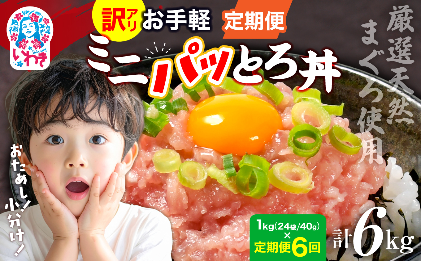 〈定期便6回〉ねぎとろ使い切りパック　約1kg（約40g×24パック） | まぐろ まぐろたたき ねぎとろ マグロ パーティー 使い切りパック 海鮮丼 お寿司 軍艦巻き 福島県 いわき市 父の日 | DK011-1kg-t6 【定期便6回】