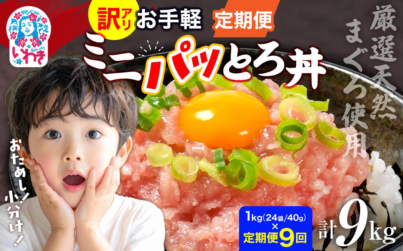 〈定期便9回〉ねぎとろ使い切りパック　約1kg（約40g×24パック） | まぐろ まぐろたたき ねぎとろ マグロ パーティー 使い切りパック 海鮮丼 お寿司 軍艦巻き 福島県 いわき市 父の日 | DK011-1kg-t9 【定期便9回】