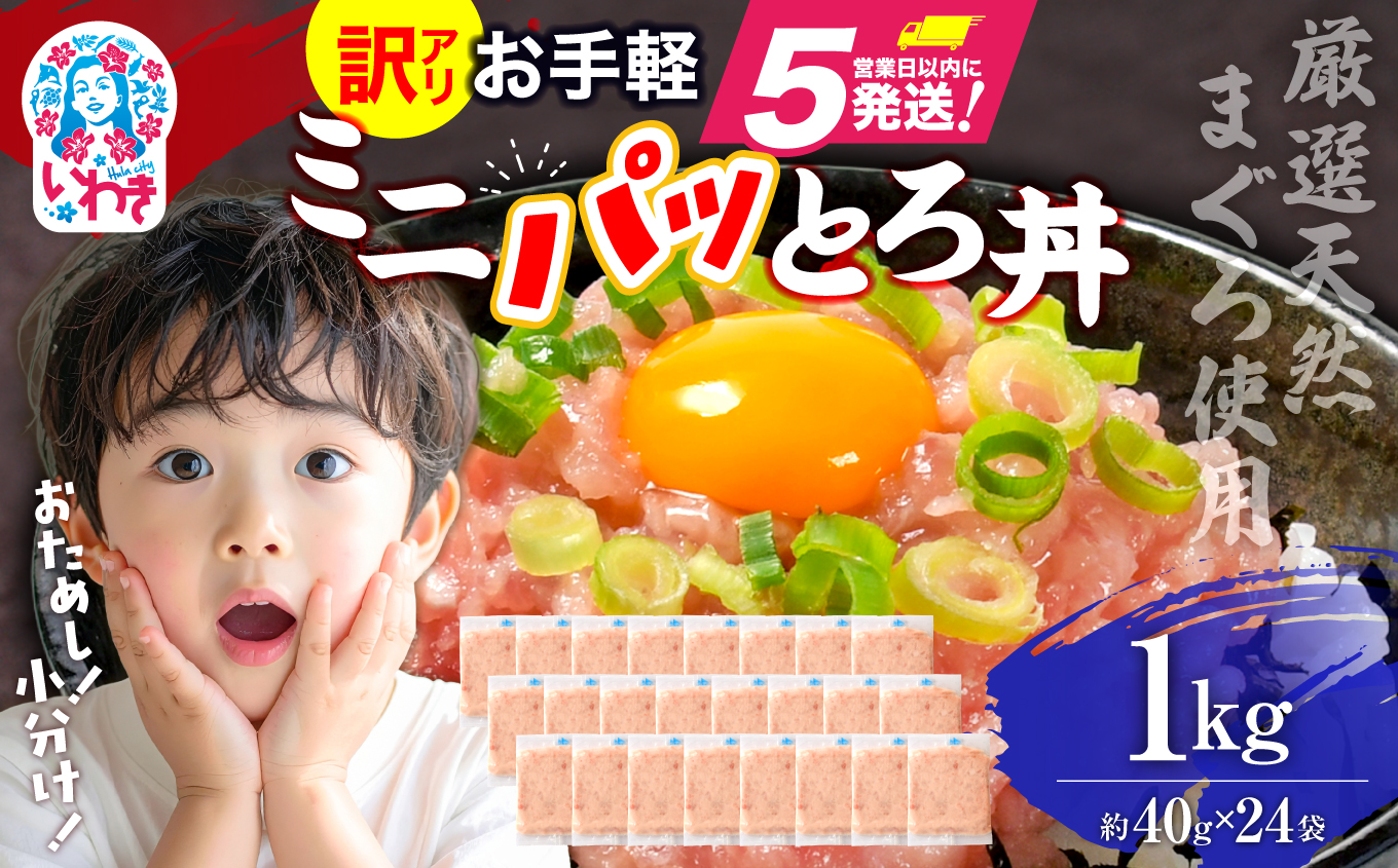 ねぎとろ使い切りパック　約1kg（約40g×24パック）【DK011-1kg】 1kg