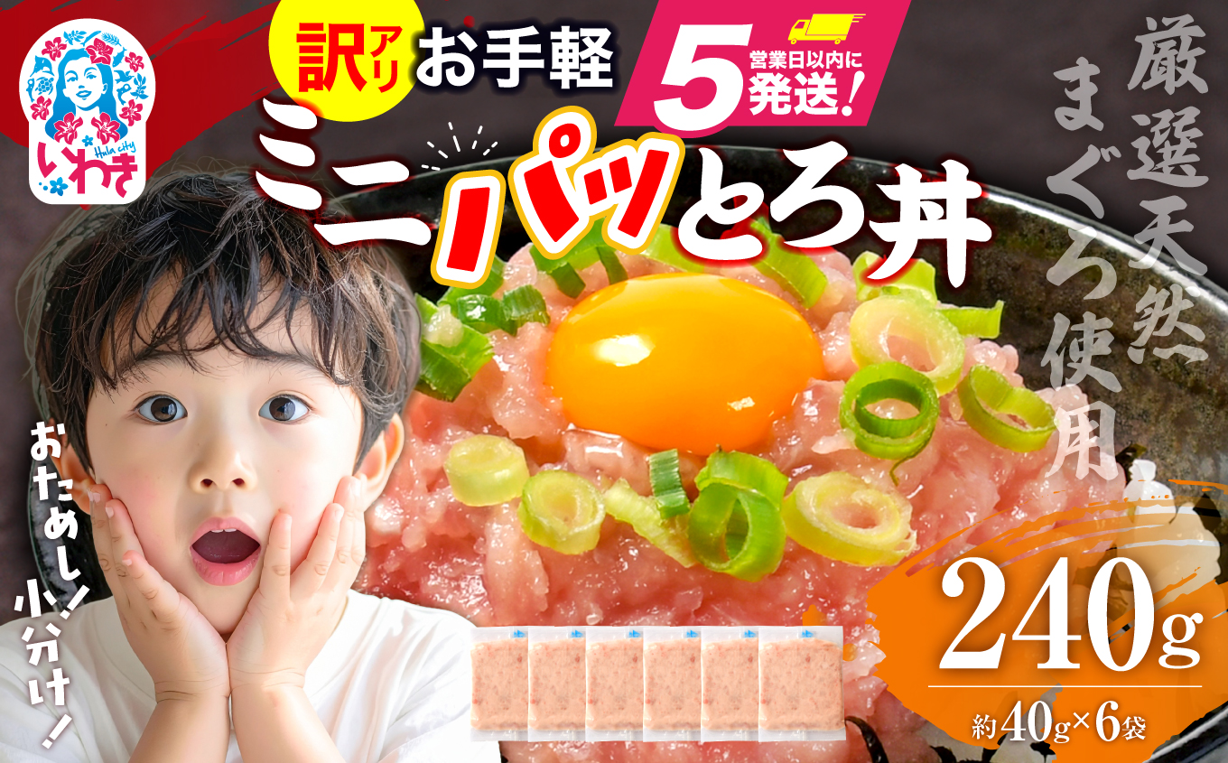 ねぎとろ使い切りパック　約240g（約40g×6パック） | まぐろ まぐろたたき ねぎとろ マグロ パーティー 使い切りパック 海鮮丼 お寿司 軍艦巻き 福島県 いわき市 父の日 | DK011-240g 240g