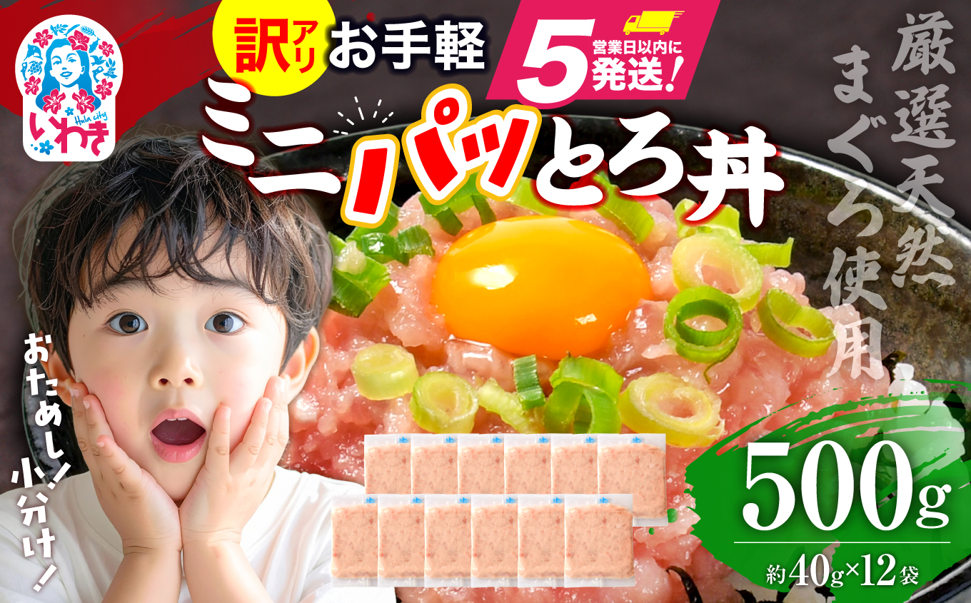 ねぎとろ使い切りパック　約500g（約40g×12パック）【DK011-500g】 500g