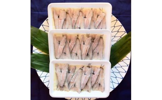 【魚屋の娘厳選】小名浜　メヒカリの開き干し