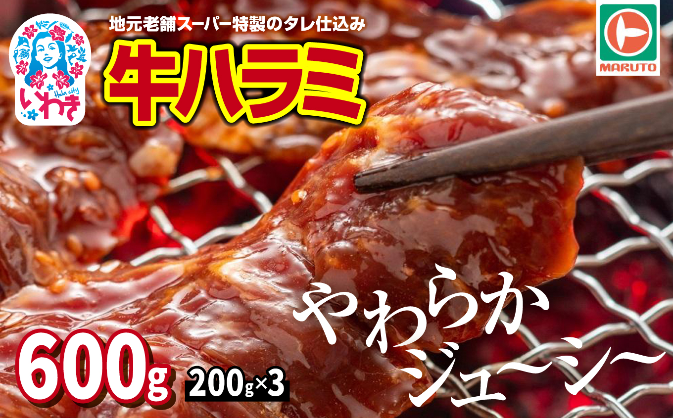 味付き牛ハラミ　600g(200g×3) | 特製タレ 焼くだけ 手作業で加工 焼肉 お取り寄せ バーベキュー ふるさと納税はらみ ふるさと納税ハラミ 柔らかい やわらかい 父の日 | EQ033-600g 600g(200g×3)
