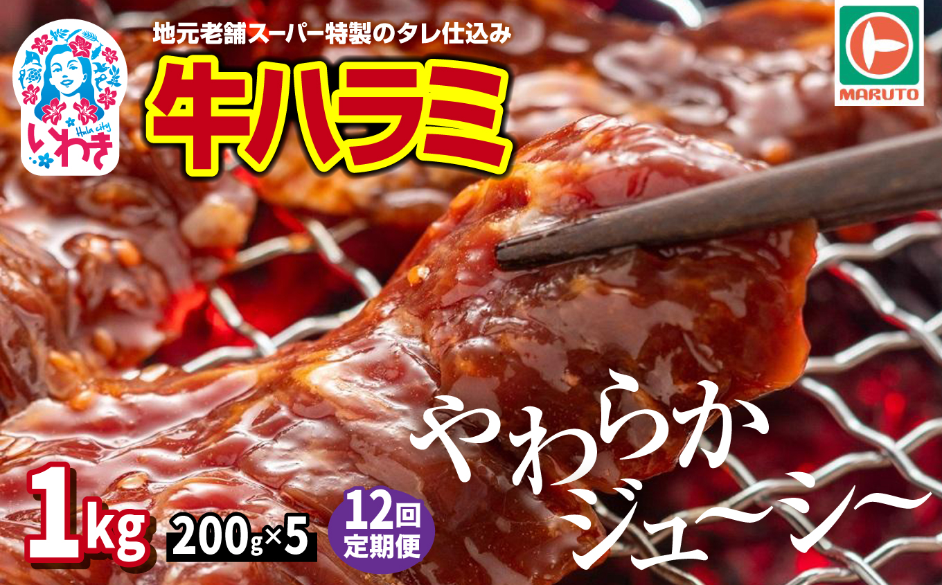 【定期便/計12回】味付き牛ハラミ　1kg(200g×5)　計12kg | 特製タレ 焼くだけ 手作業で加工 焼肉 お取り寄せ バーベキュー ふるさと納税はらみ ふるさと納税ハラミ 柔らかい やわらかい 父の日 | EQ040-1000g-t12 【12回定期便】