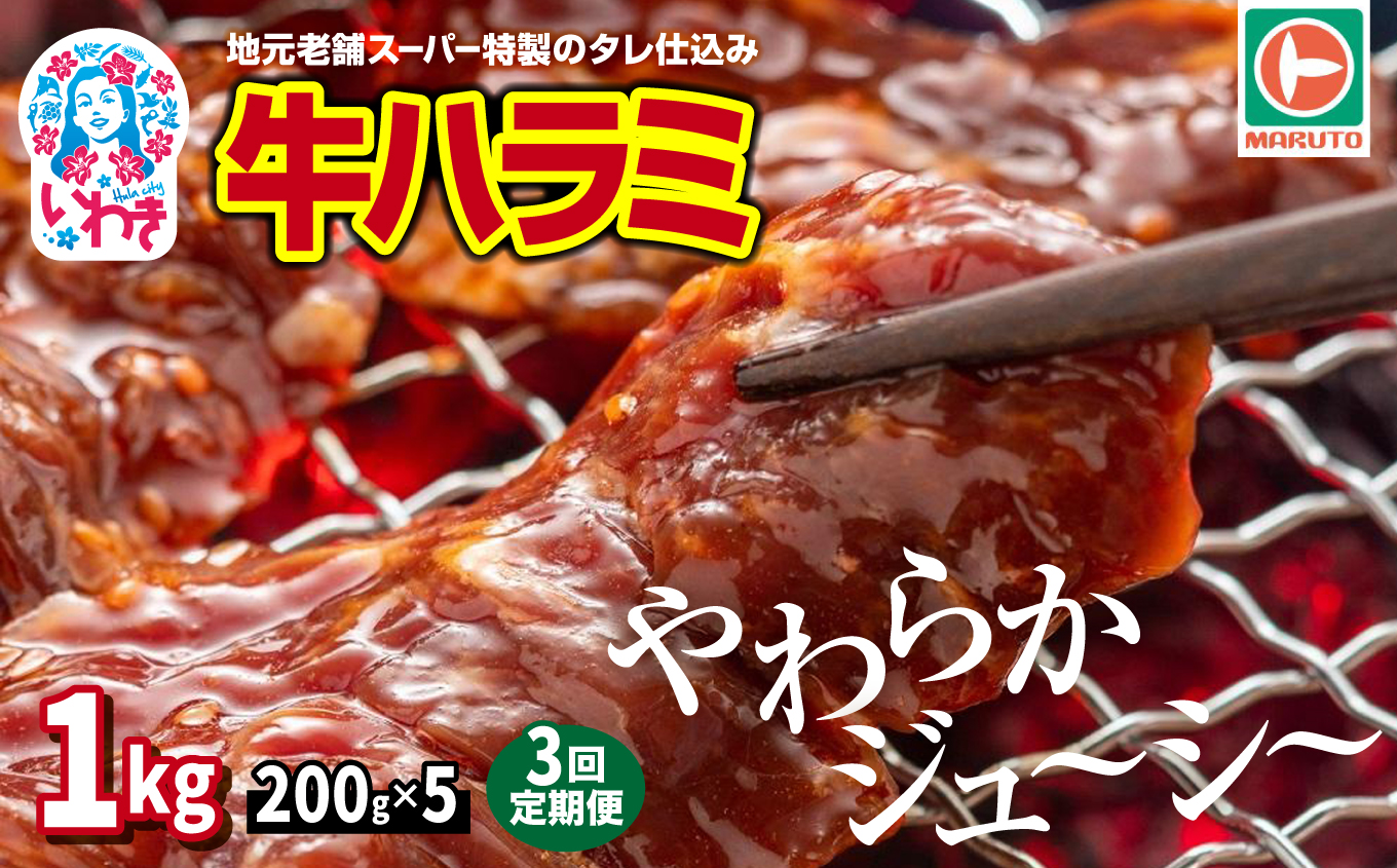 【定期便/計3回】味付き牛ハラミ　1kg(200g×5)　計3kg | 特製タレ 焼くだけ 手作業で加工 焼肉 お取り寄せ バーベキュー ふるさと納税はらみ ふるさと納税ハラミ 柔らかい やわらかい 父の日 | EQ040-1000g-t3 【3回定期便】