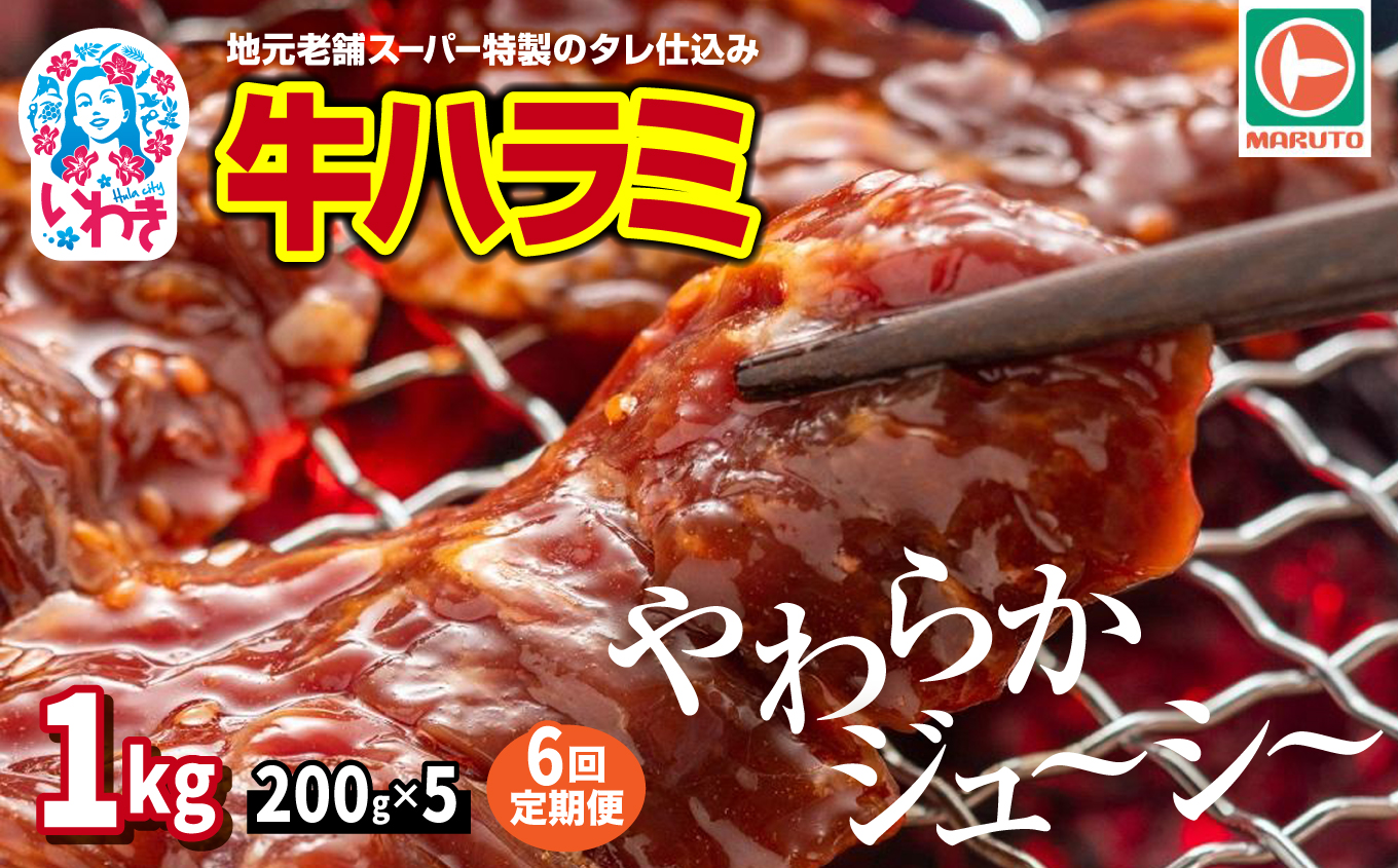 【定期便/計6回】味付き牛ハラミ　1kg(200g×5)　計6kg | 特製タレ 焼くだけ 手作業で加工 焼肉 お取り寄せ バーベキュー ふるさと納税はらみ ふるさと納税ハラミ 柔らかい やわらかい 父の日 | EQ040-1000g-t6 【6回定期便】