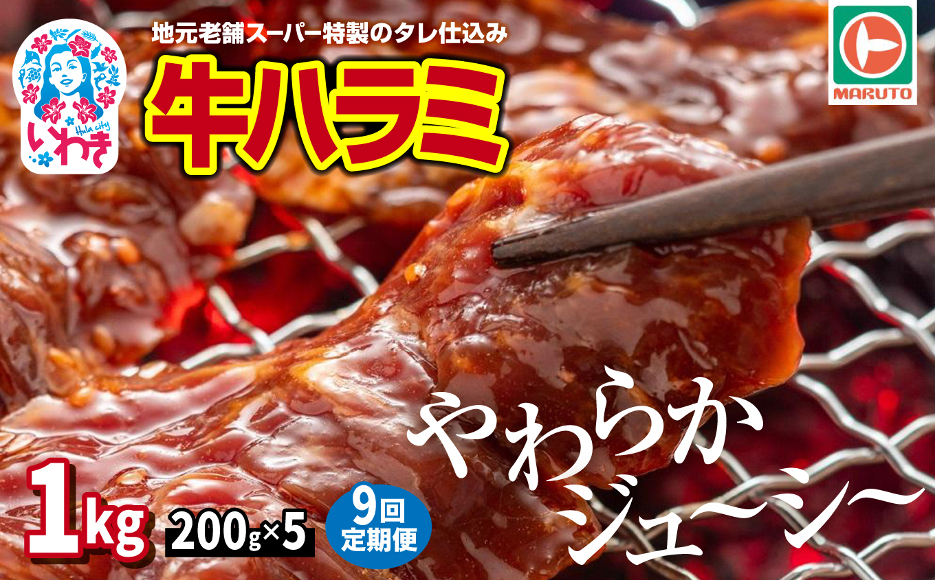 【定期便/計9回】味付き牛ハラミ　1kg(200g×5)　計9kg | 特製タレ 焼くだけ 手作業で加工 焼肉 お取り寄せ バーベキュー ふるさと納税はらみ ふるさと納税ハラミ 柔らかい やわらかい 父の日 | EQ040-1000g-t9 【9回定期便】