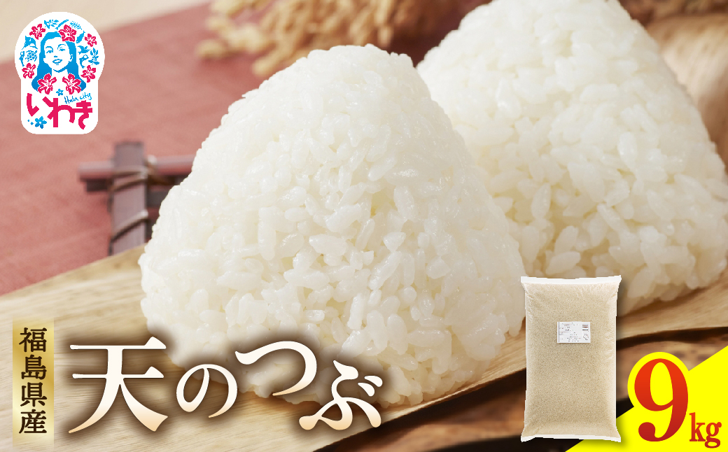 福島県産天のつぶ9kg×1袋 | 福島県産 米 精米 食味ランキング 産地直送 ふるさと納税 返礼品 送料無料 ブランド米 日本米 東北米 つや 旨味 甘み 香り 粘り コシ もちもち 天のつぶ R7年産 | FU006-9kg 9kg（9kg×1袋）