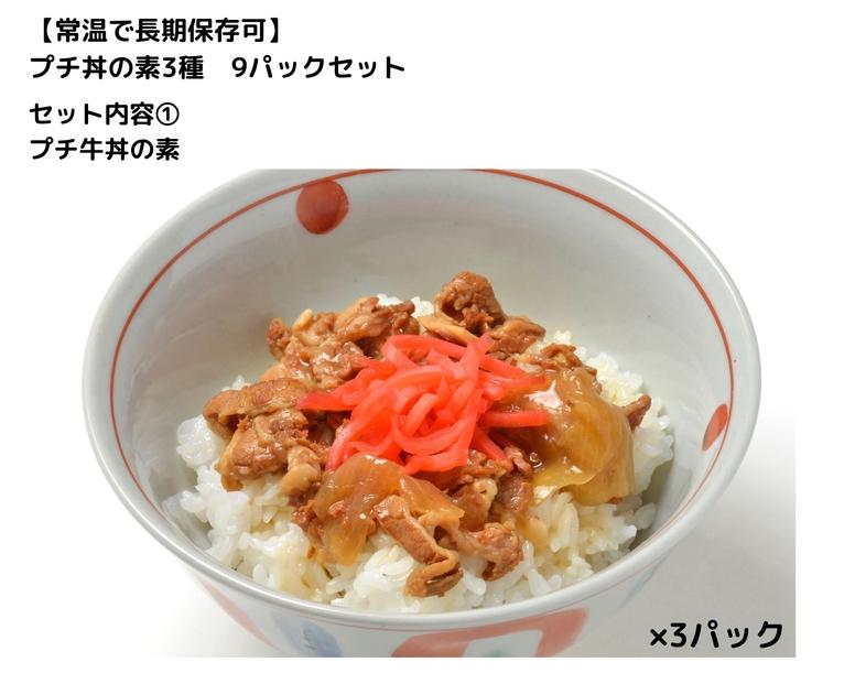 【常温で3年保存可】 プチ丼の素3種  9パックセット