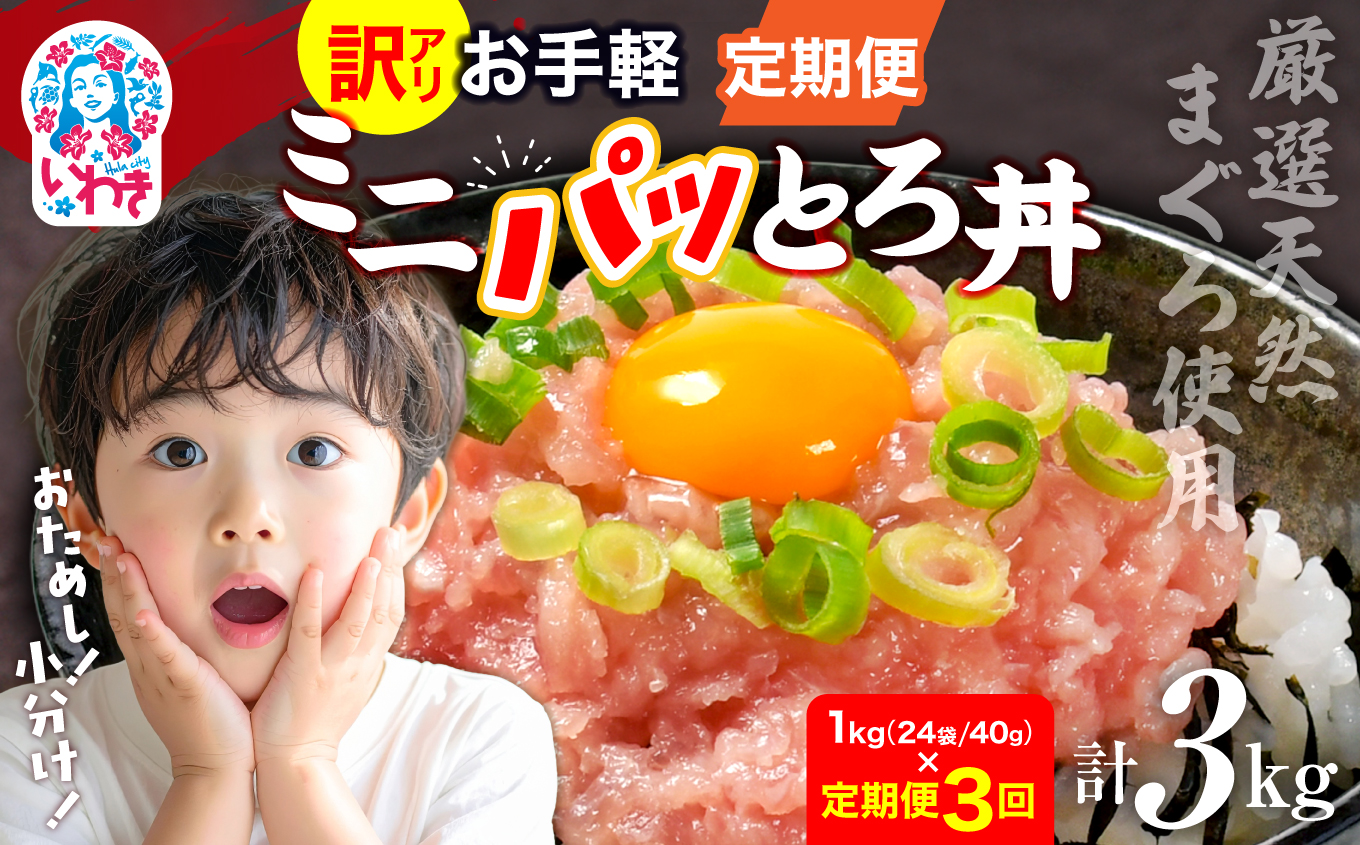 [定期便3回]ねぎとろ使い切りパック 約1kg(約40g×24パック) | まぐろ まぐろたたき ねぎとろ マグロ パーティー 使い切りパック 海鮮丼 お寿司 軍艦巻き 福島県 いわき市 父の日 | DK011-1kg-t3