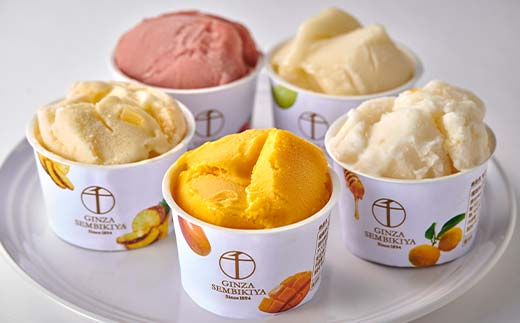 ＜お中元仕様＞ 銀座千疋屋 銀座プレミアムソルベ 10個入り F24R-101