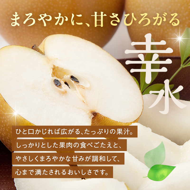 《2026年秋出荷》一番人気の梨 幸水 2玉 F24R-125