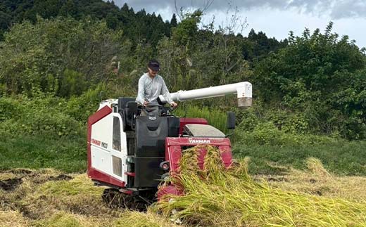 令和7年産米 白河表郷 コシヒカリ 白米 3kg 米 コメ ごはん ご飯 食品 F24R-196