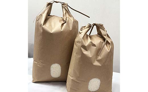 令和7年産 ミルキークイーン 精米 5kg 米 コメ ごはん ご飯 食品 F24R-229