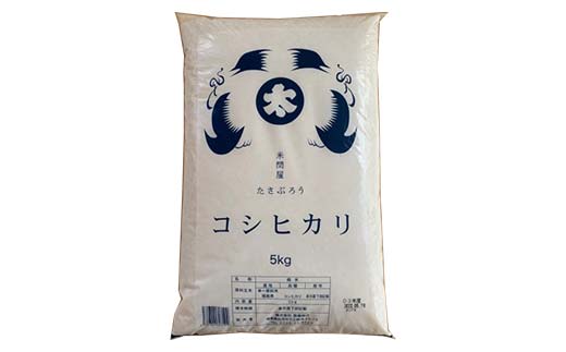 令和7年産米 白河市産コシヒカリ精米5kg 米 お米 コメ ごはん ご飯 食品 F25R-001