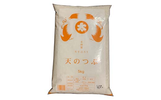 令和7年産米 白河市産天のつぶ精米5kg 米 お米 コメ ごはん ご飯 食品 F25R-006